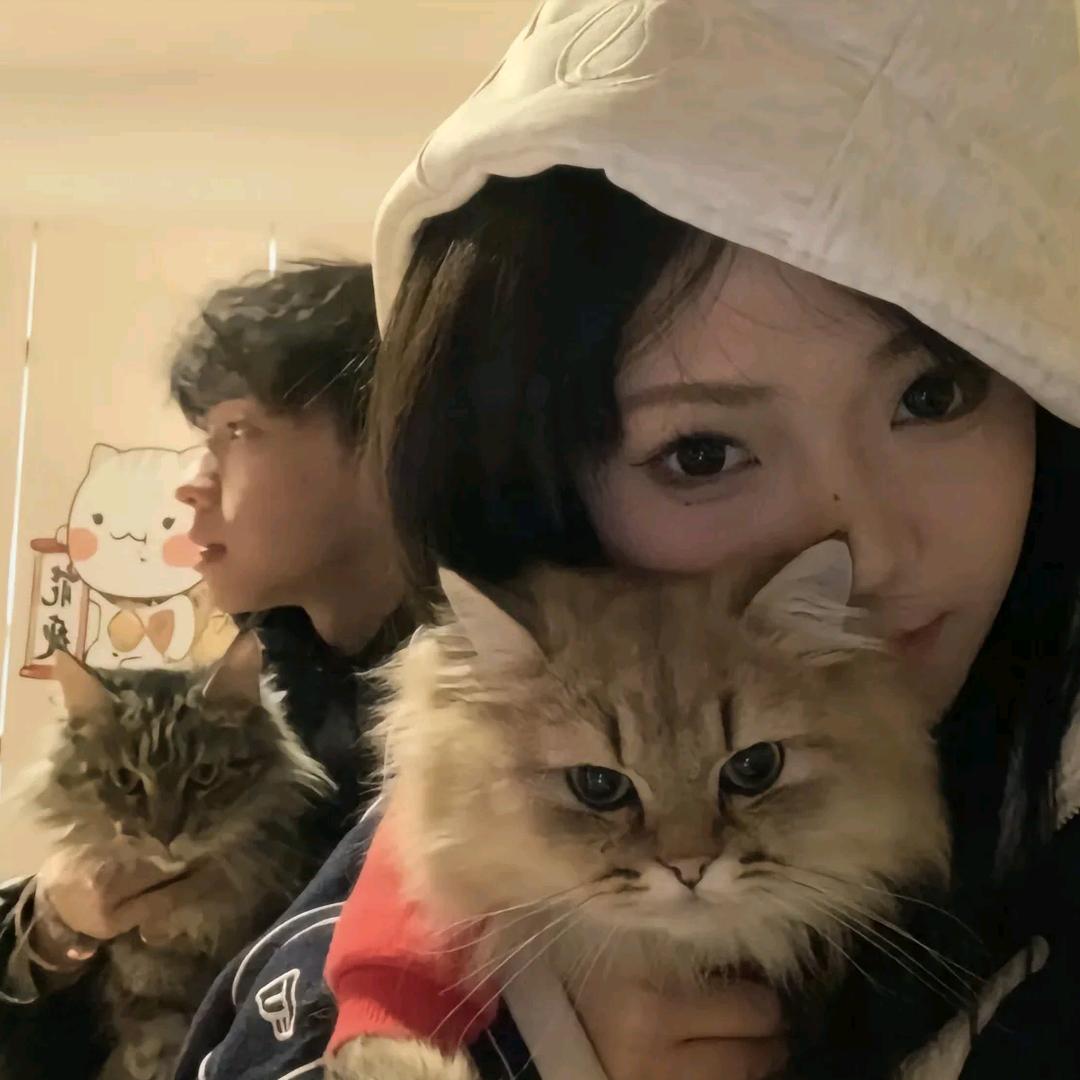 半只兔子🐰