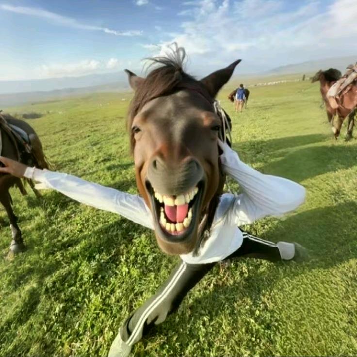 油爆枇杷拌着面