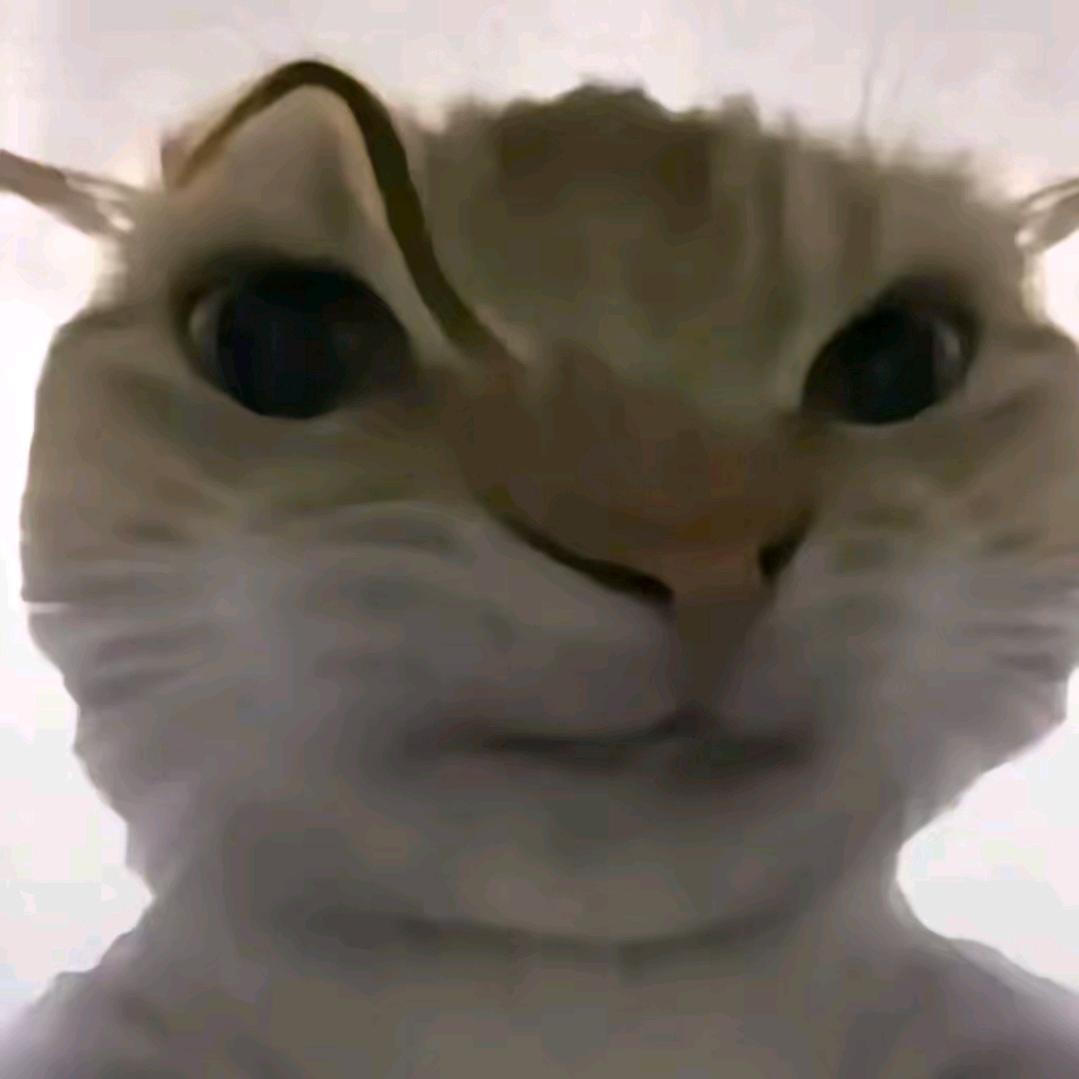 風～～