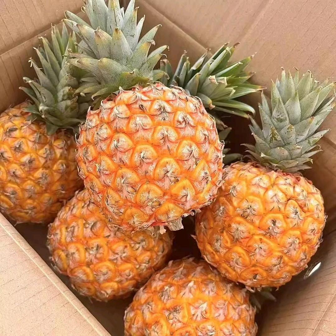 海南金钻凤梨3号店