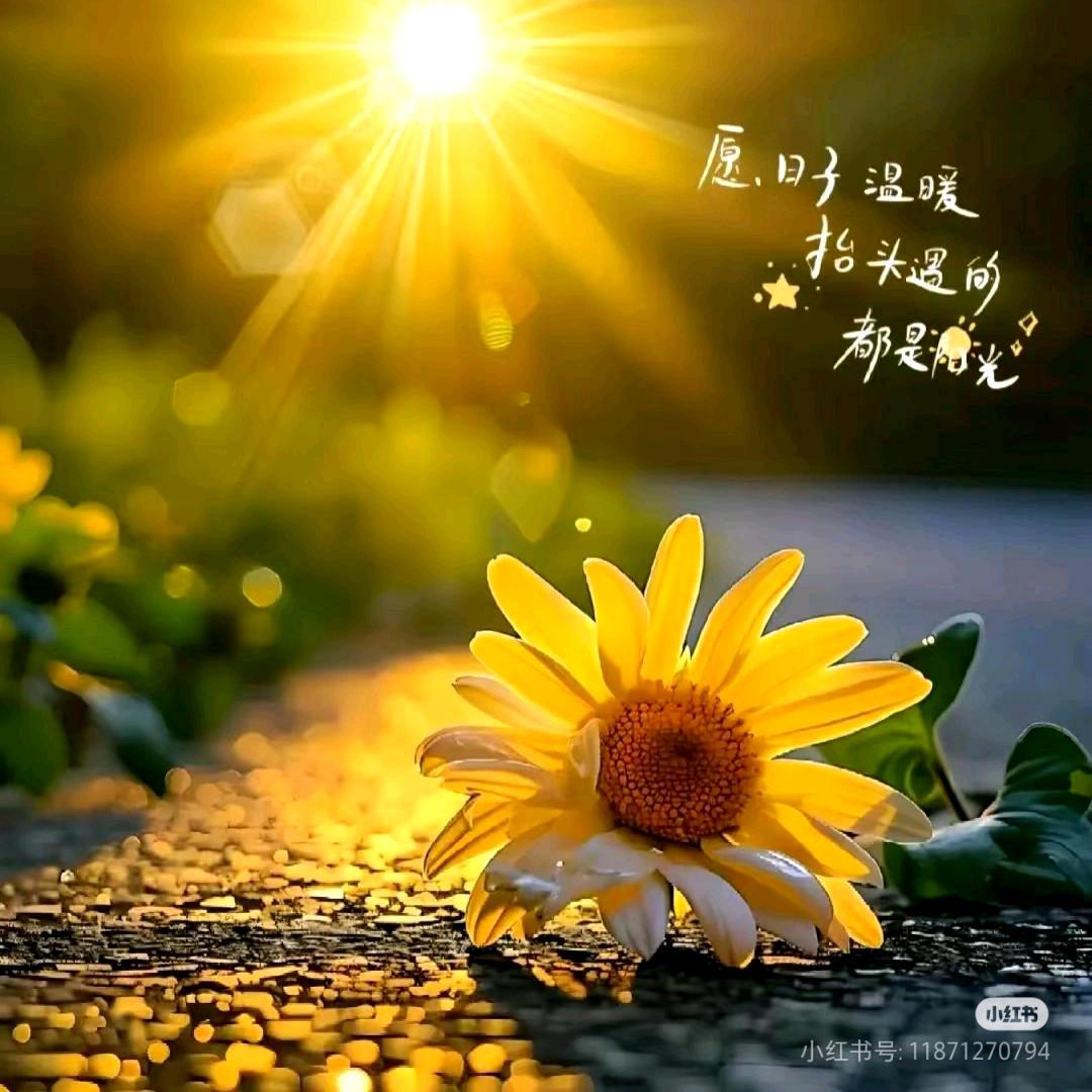 阳✨阳