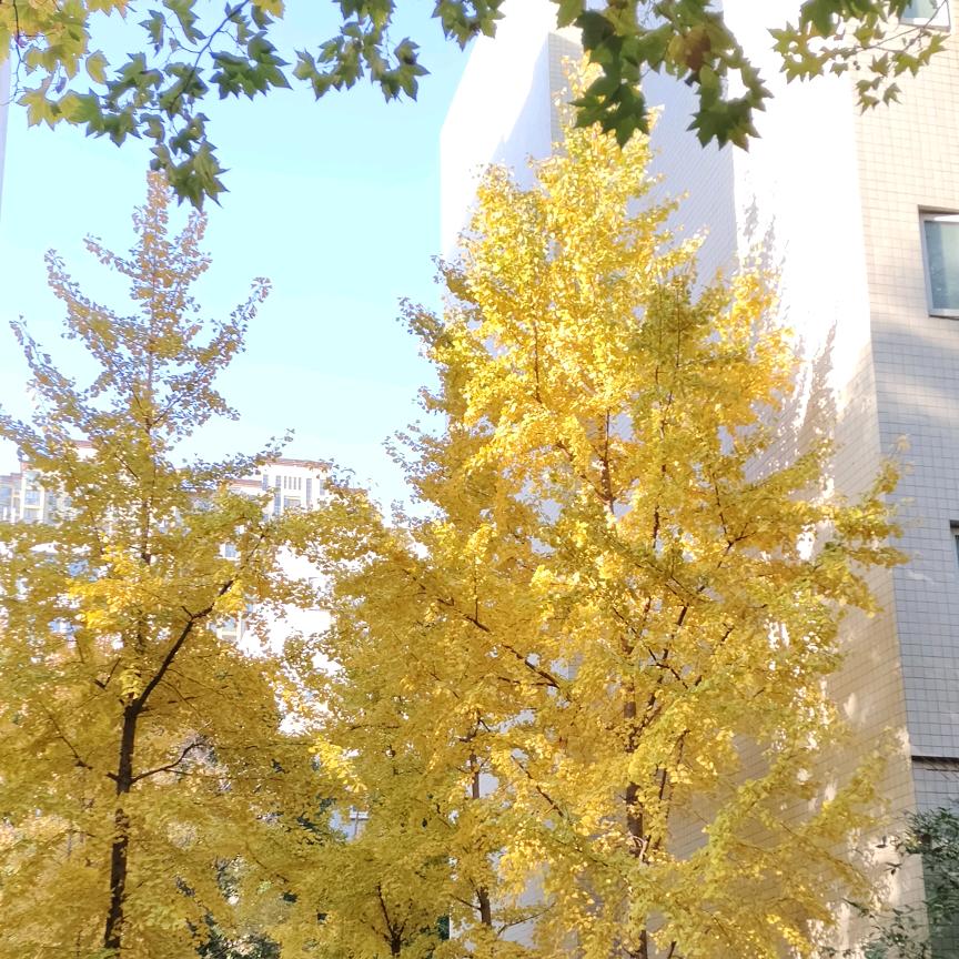生活的贝贝