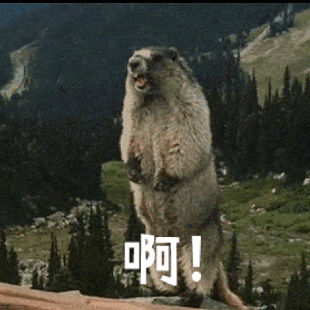 无能狂怒的小灰熊(金铲铲)