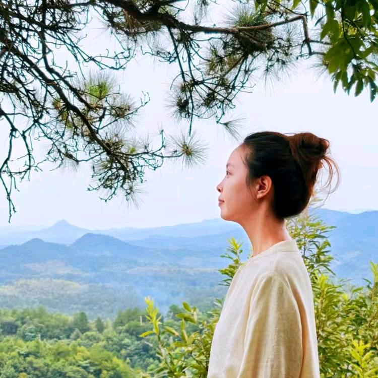 大别山中轻食养