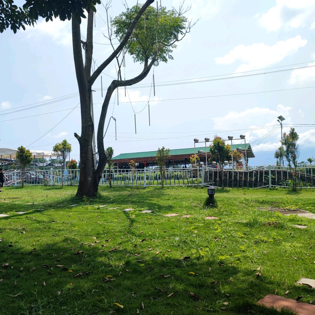 临帖要用三吨水の小小