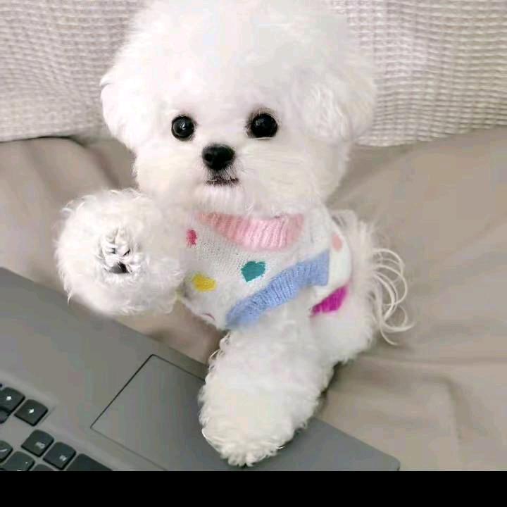 挺好的，性格上