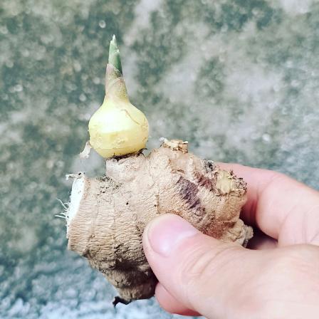 ꧁❦༺༒雅🐴༒༻❦꧂