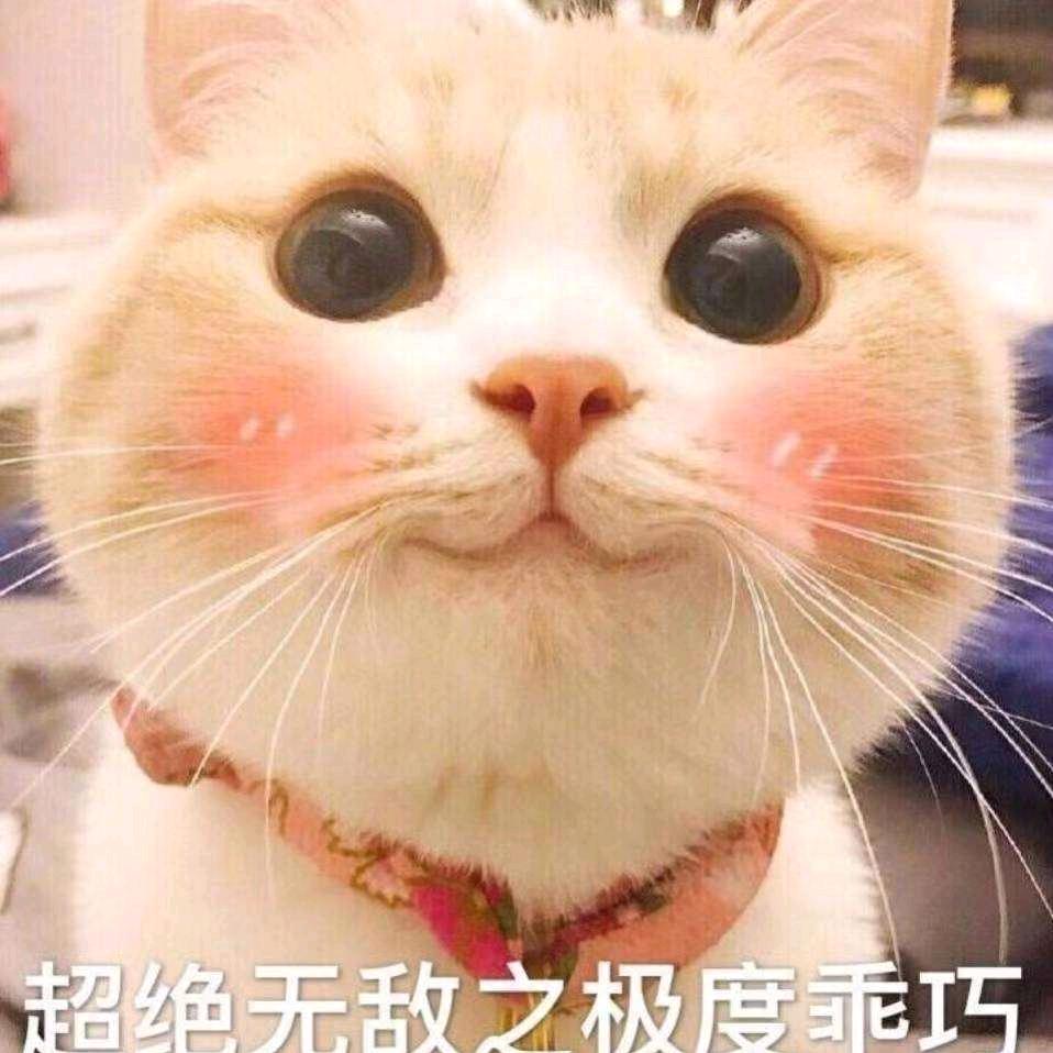 小王鸭！