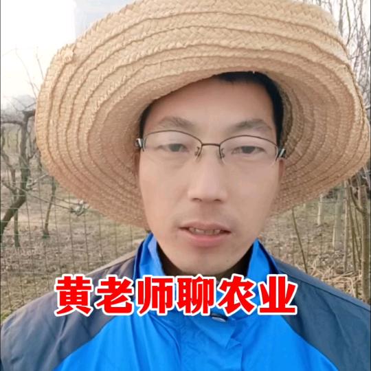 黄老师聊农业