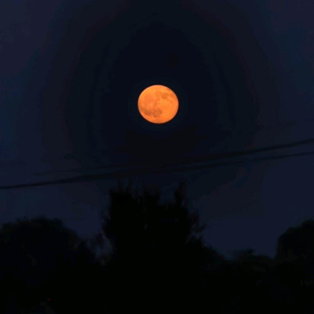 学校门口的浪漫