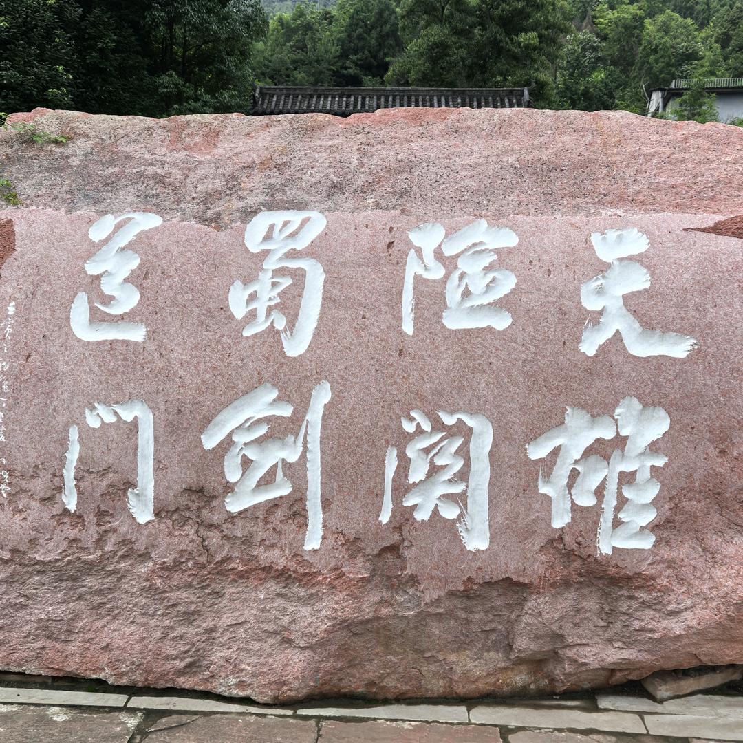 拦路雨偏似雪花.