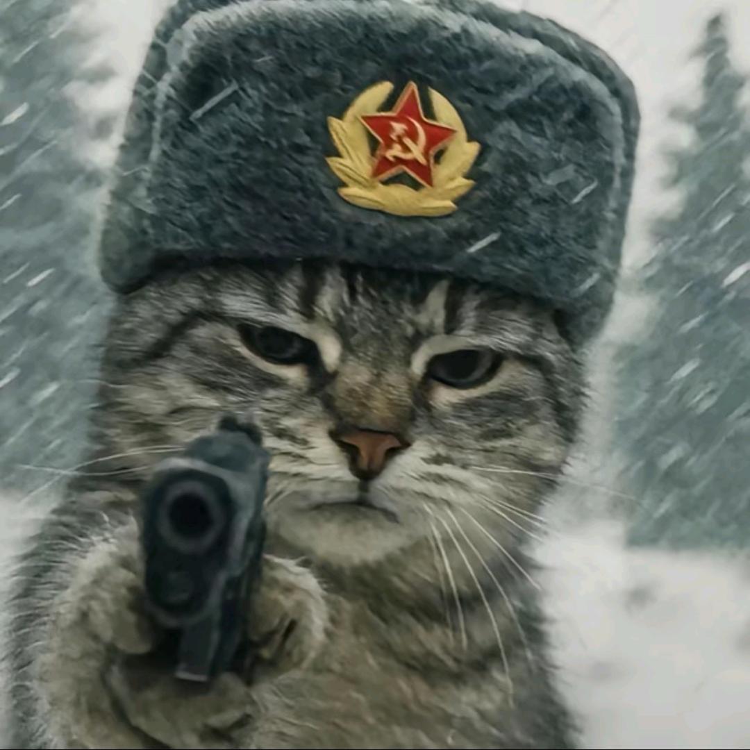 中秋🐾