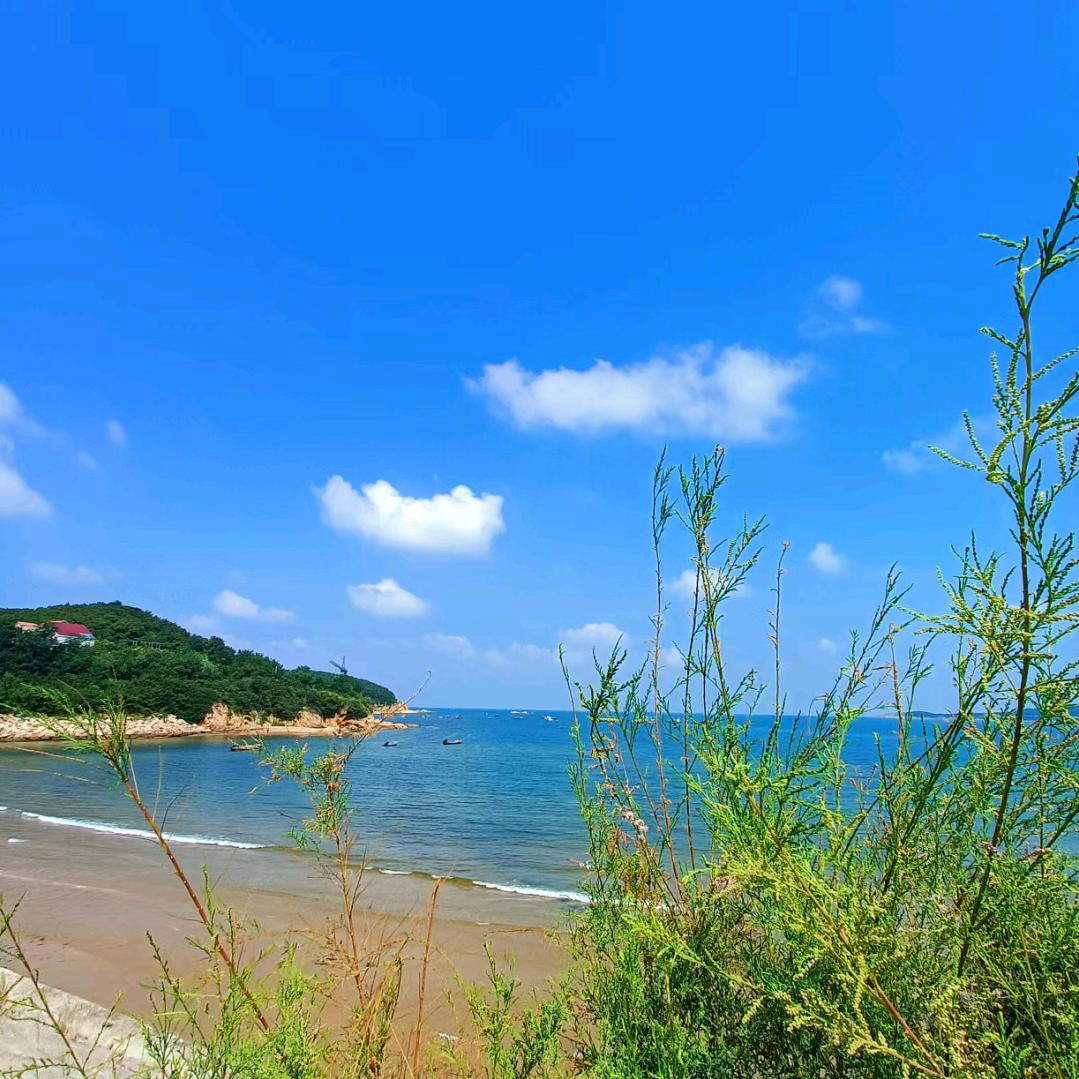 愿你无忧 🙏🙏