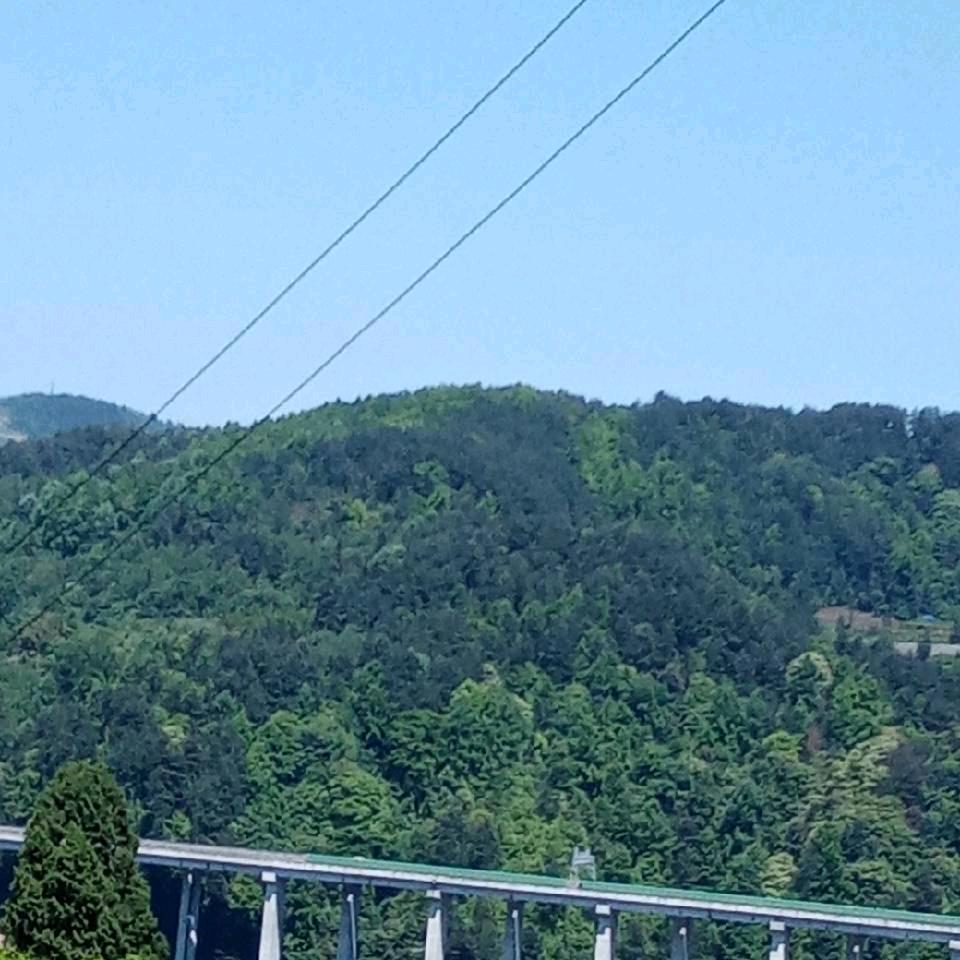 长秀小跟班