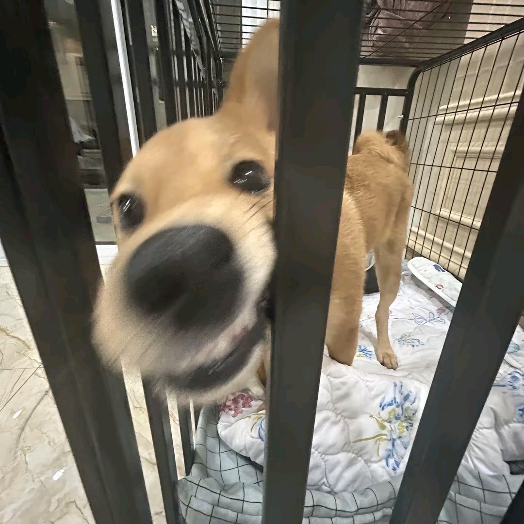 。。。。。