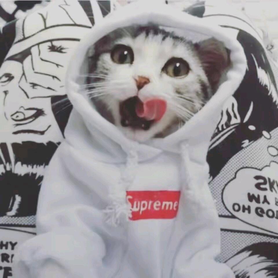 予.