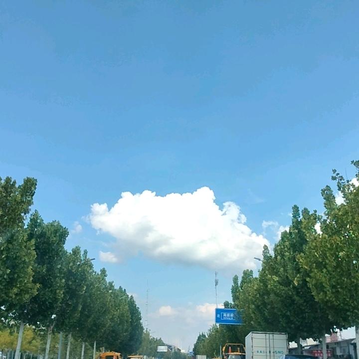 冰心