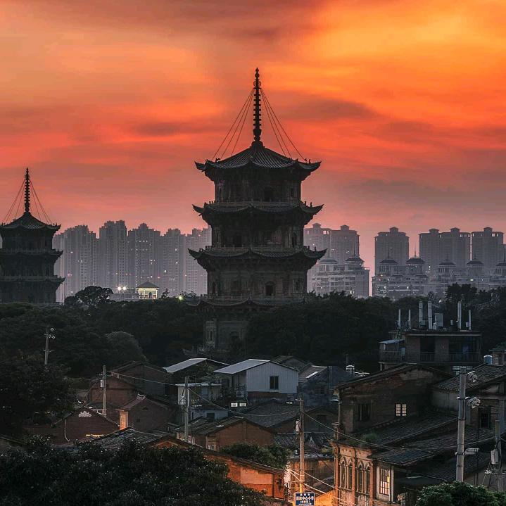 你是我戎不掉的疤