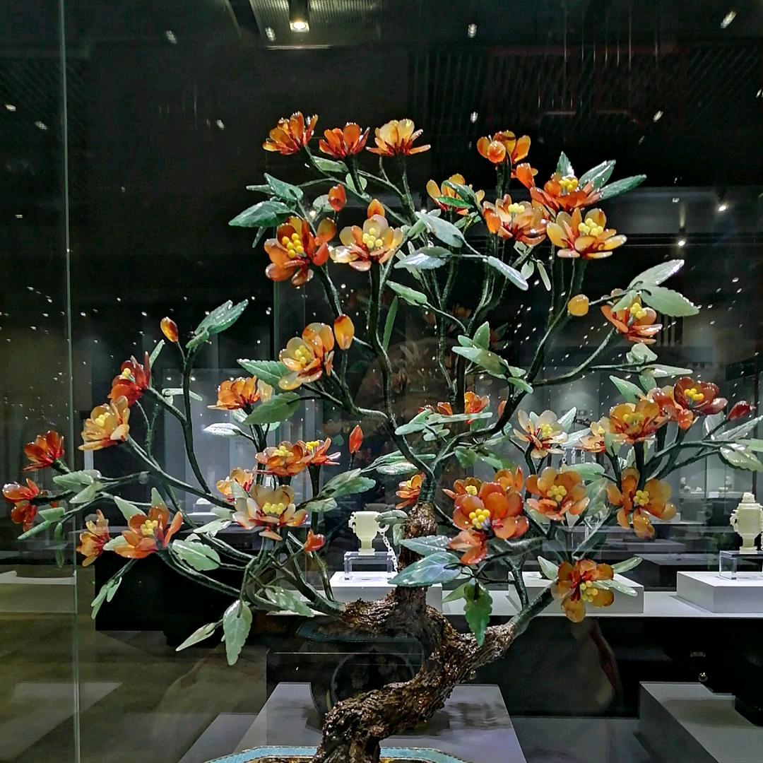 (៸៸᳐⦁⩊⦁៸៸᳐ )੭菲奥里猫