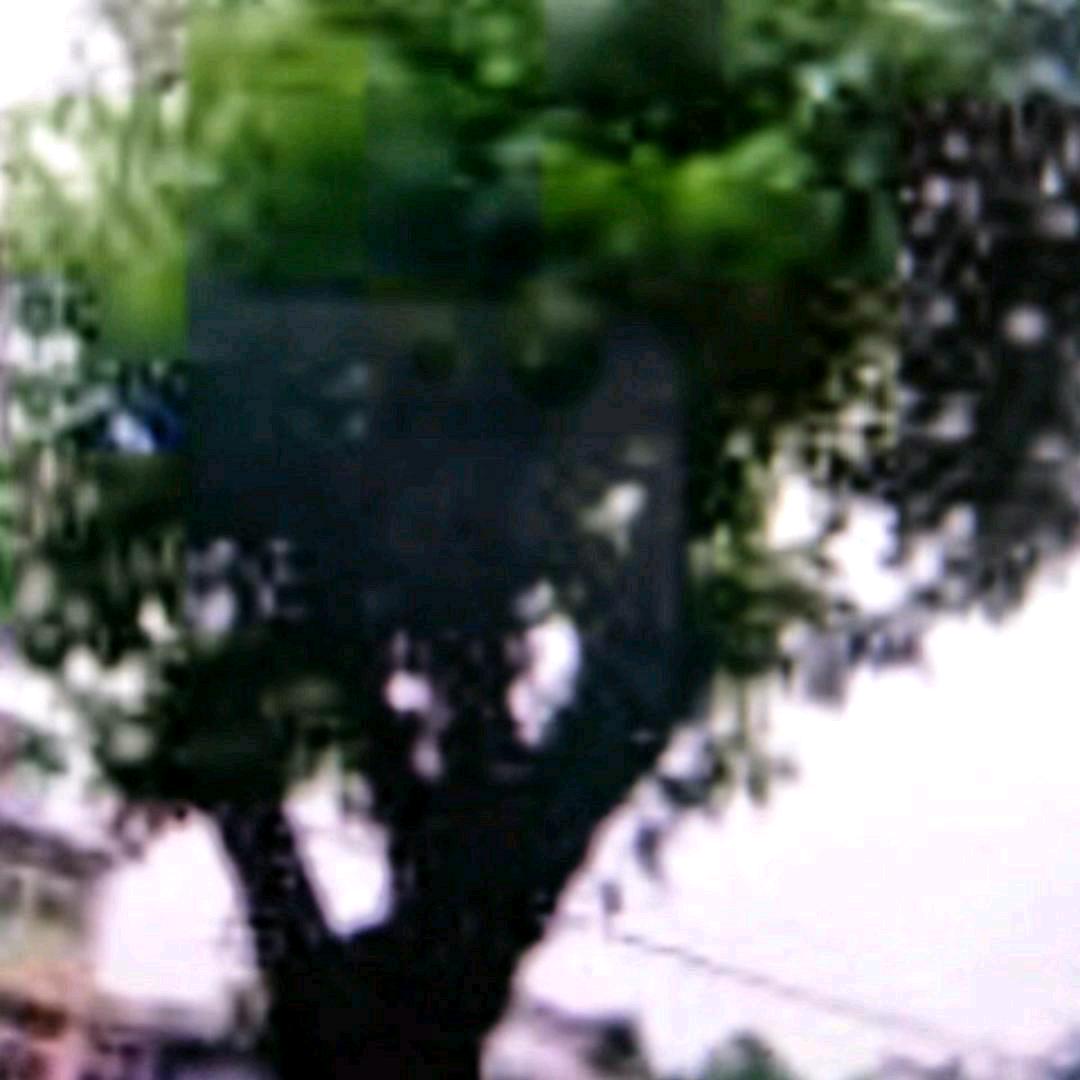 头桥