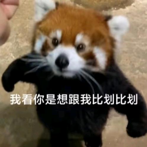 励志成为心理委员