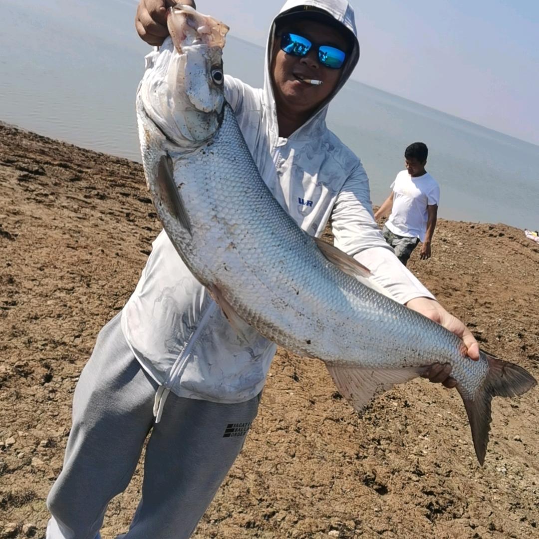 江湖鳜人🔥
