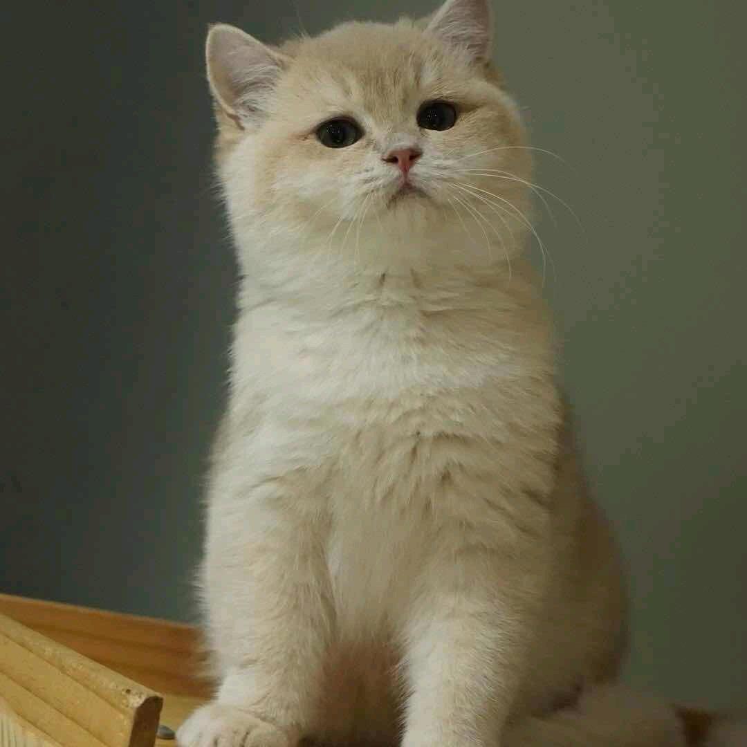 张，快乐每一天