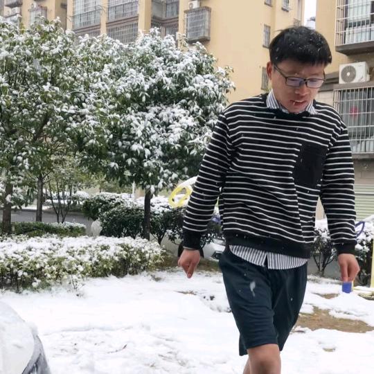 王子羊玫瑰