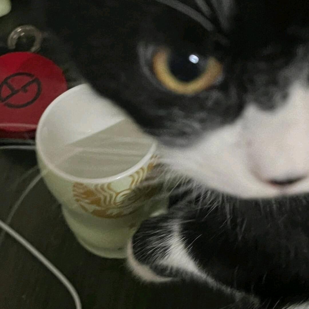 天辰