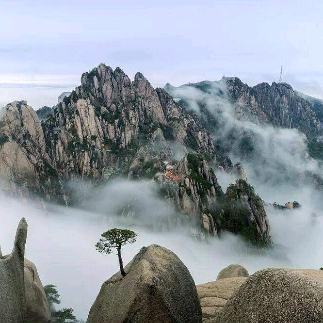 叶音符