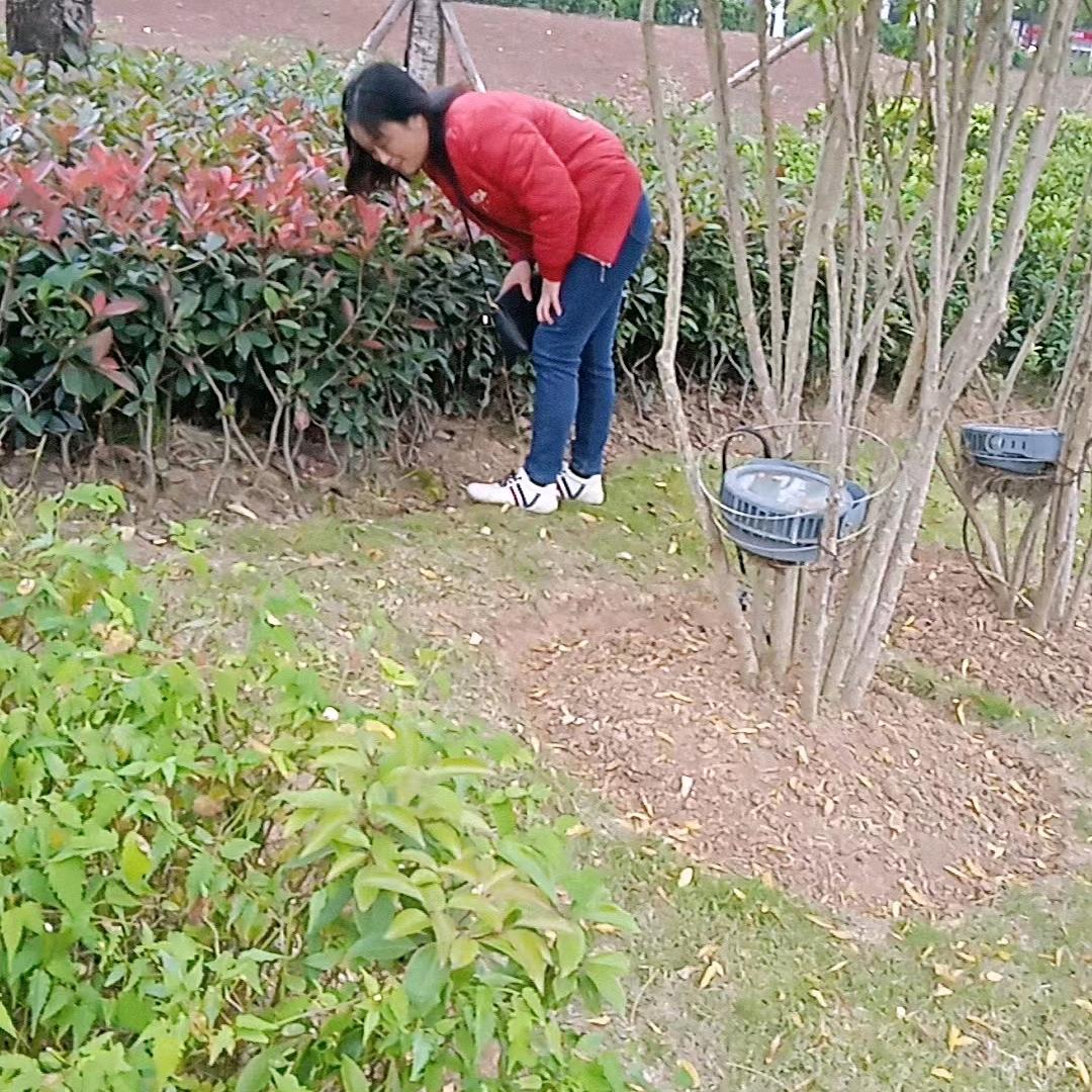 二姐（早8：20）