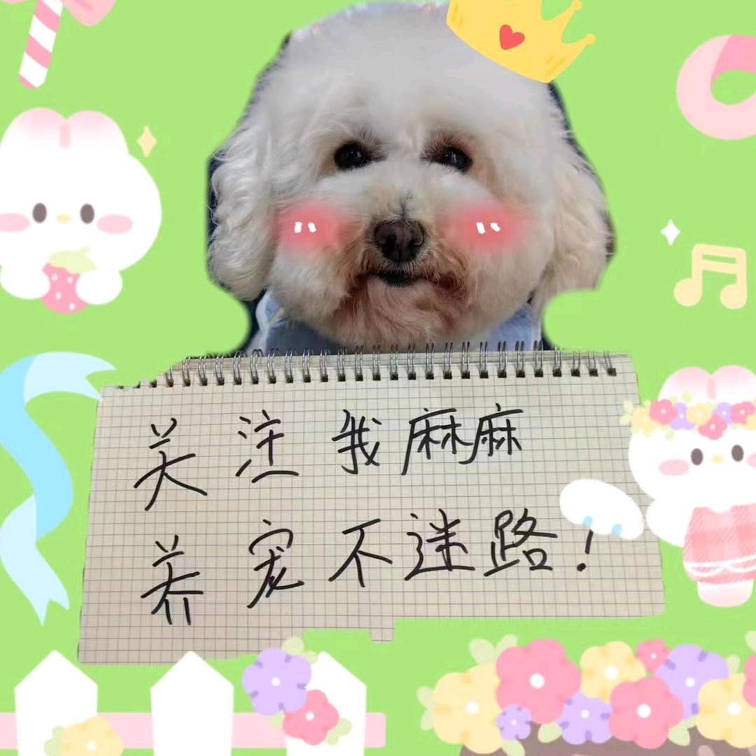 娇娇家宠物大号！免费鉴定宠物