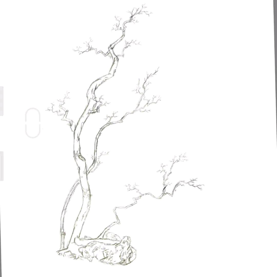 笋溪蓑笠翁