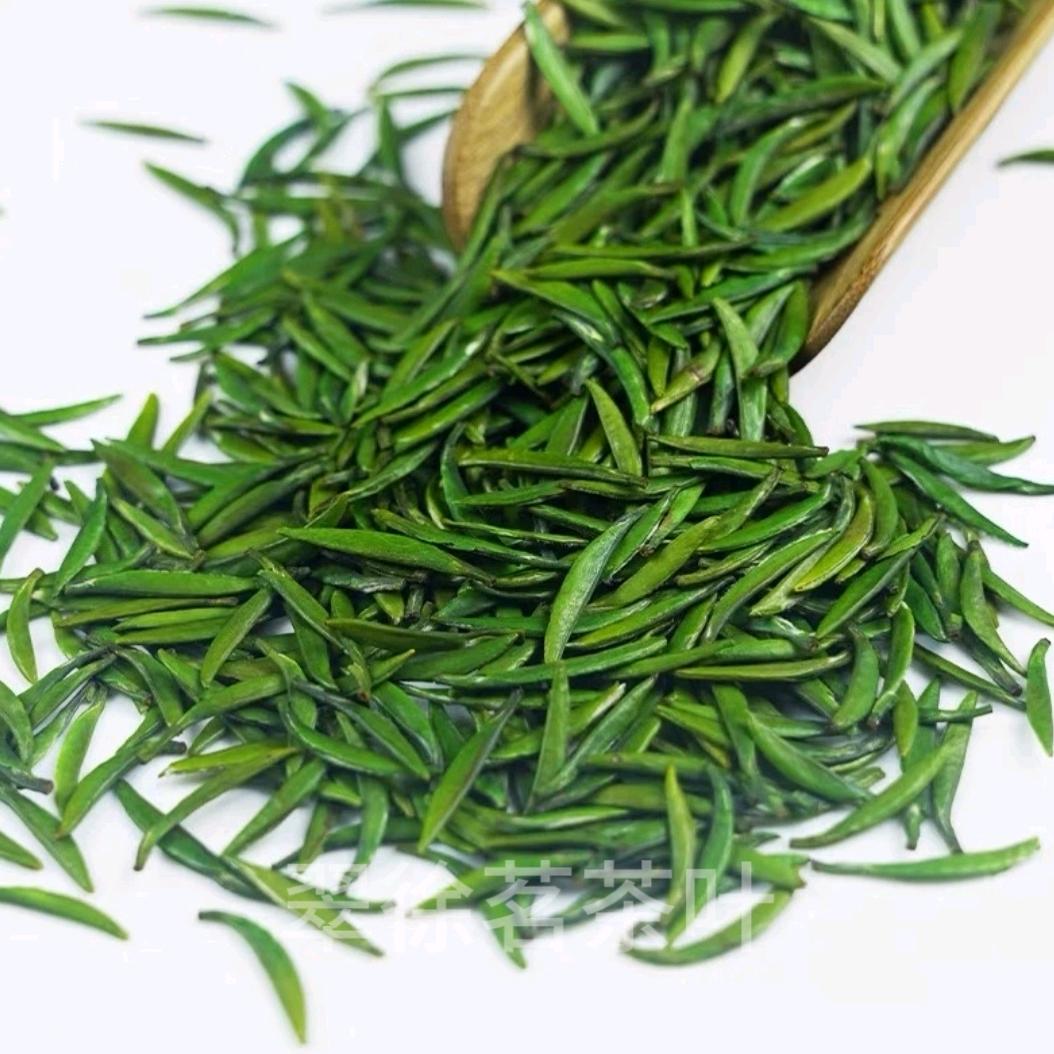 湄潭雀舌厂家直销