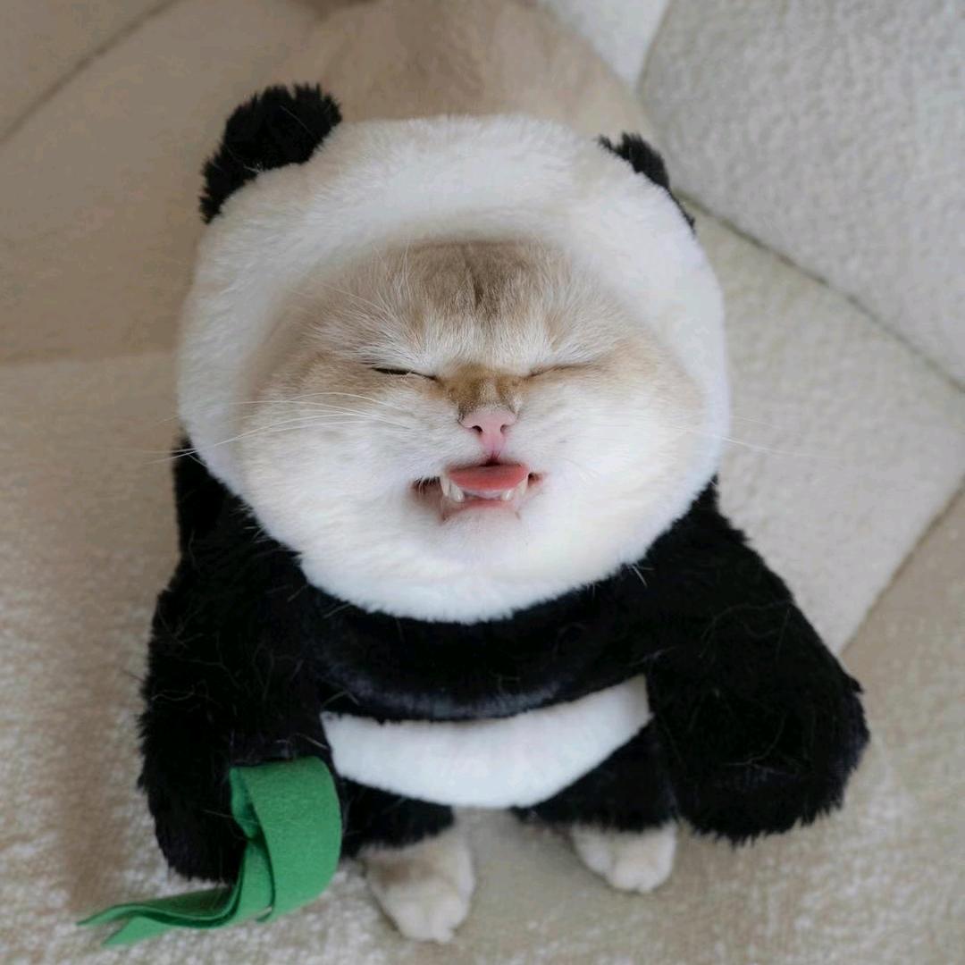 违者