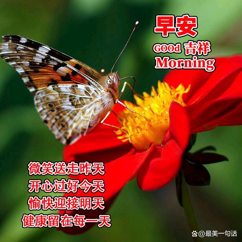 江南郭清玲爸爸