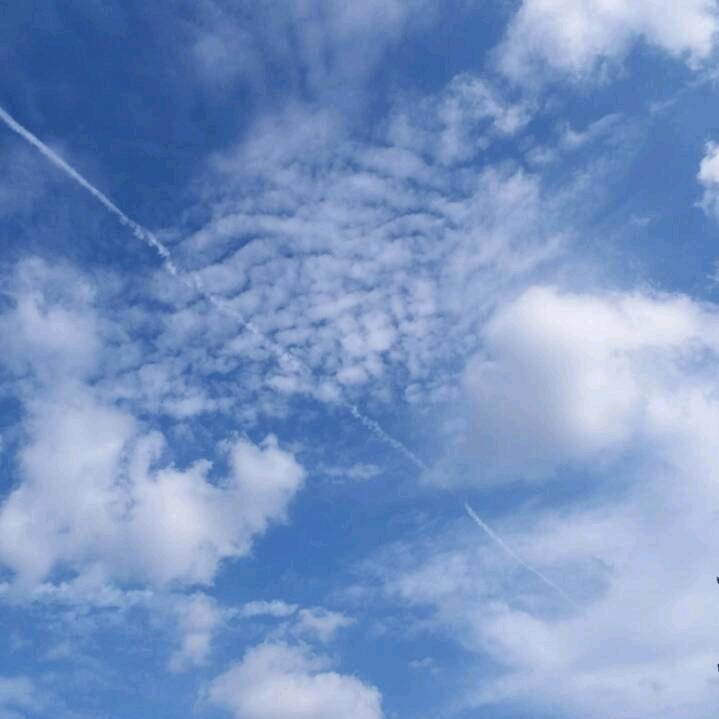 红伟治愈自己
