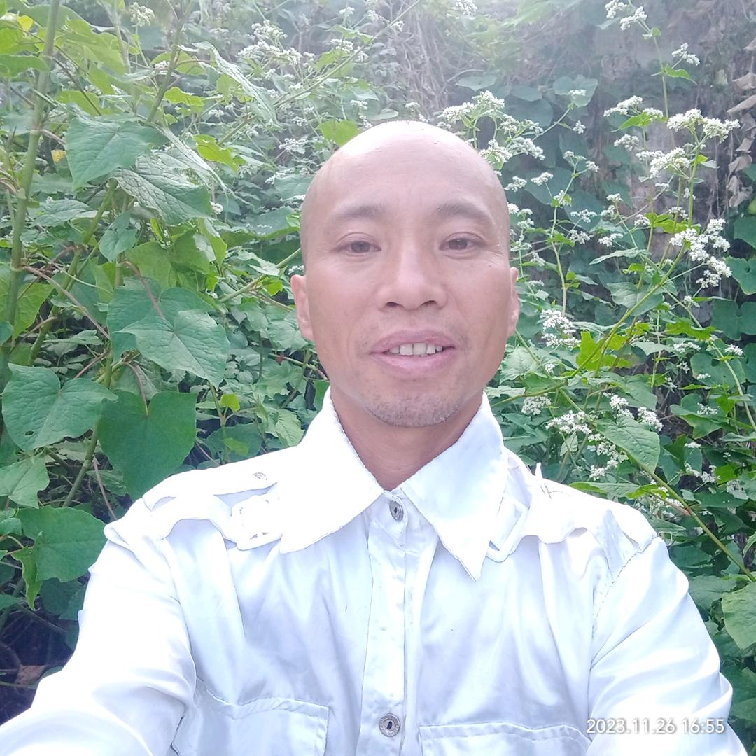 津哥韦，最老实。