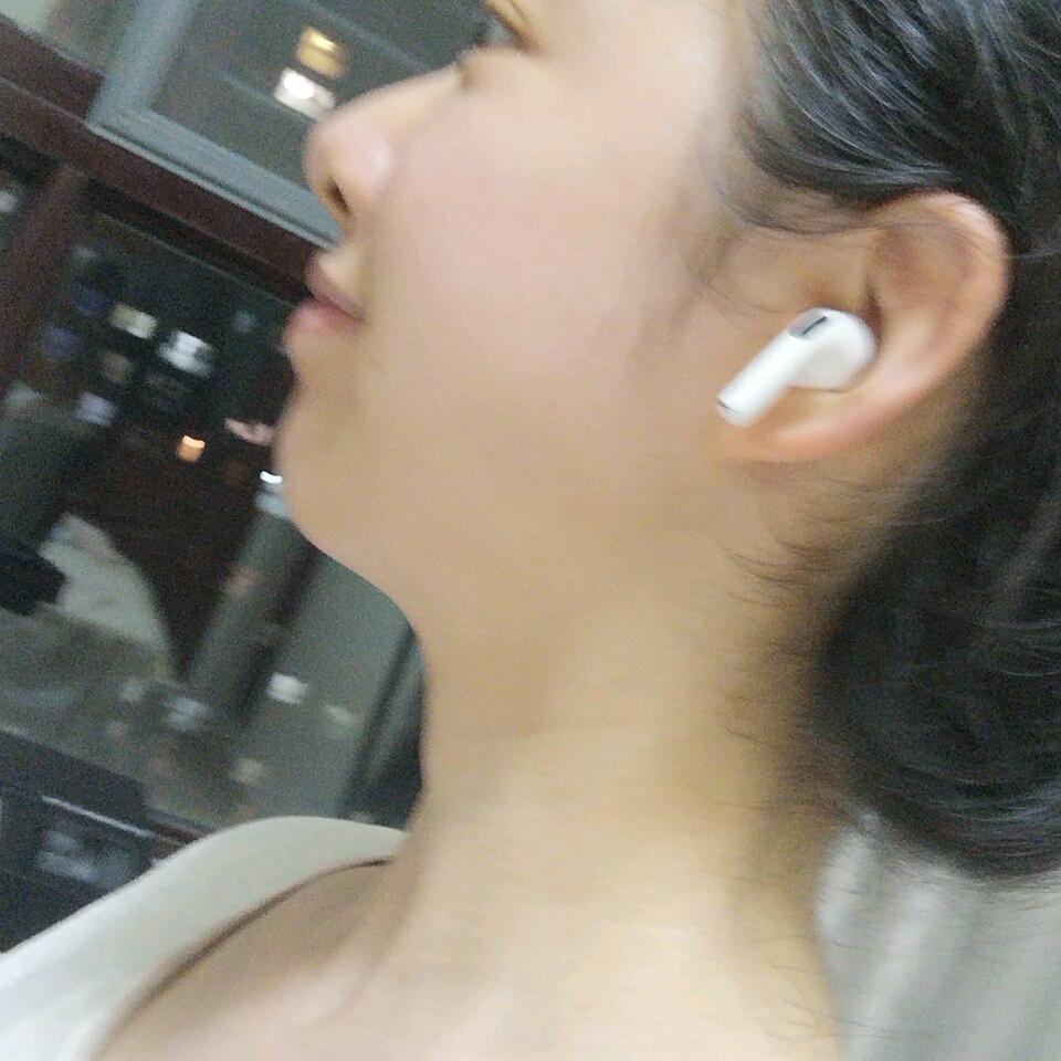 贝壳耳