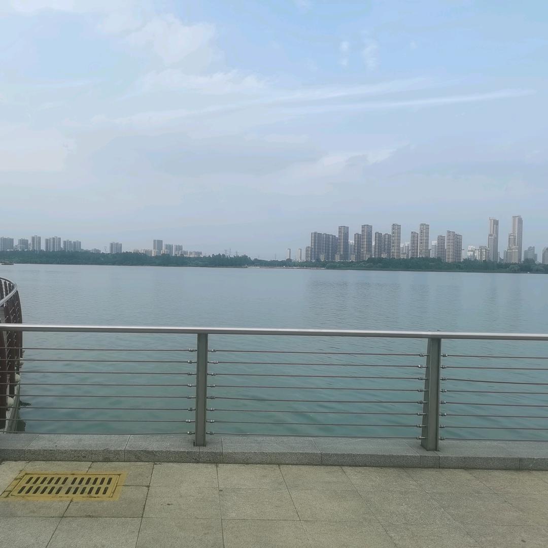 满仓