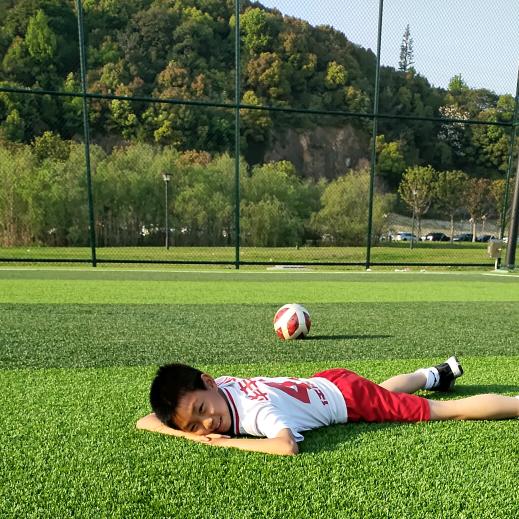 鳄鱼🐊爱足球⚽