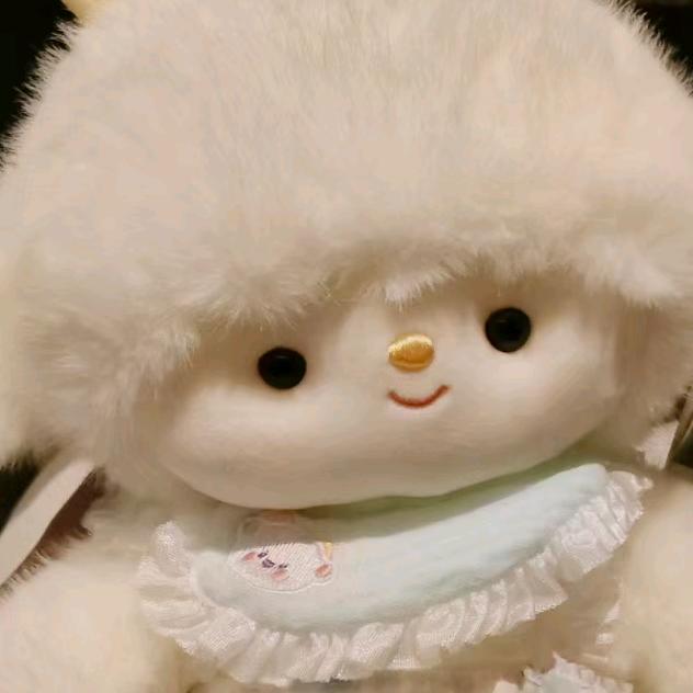 菠萝小丸子
