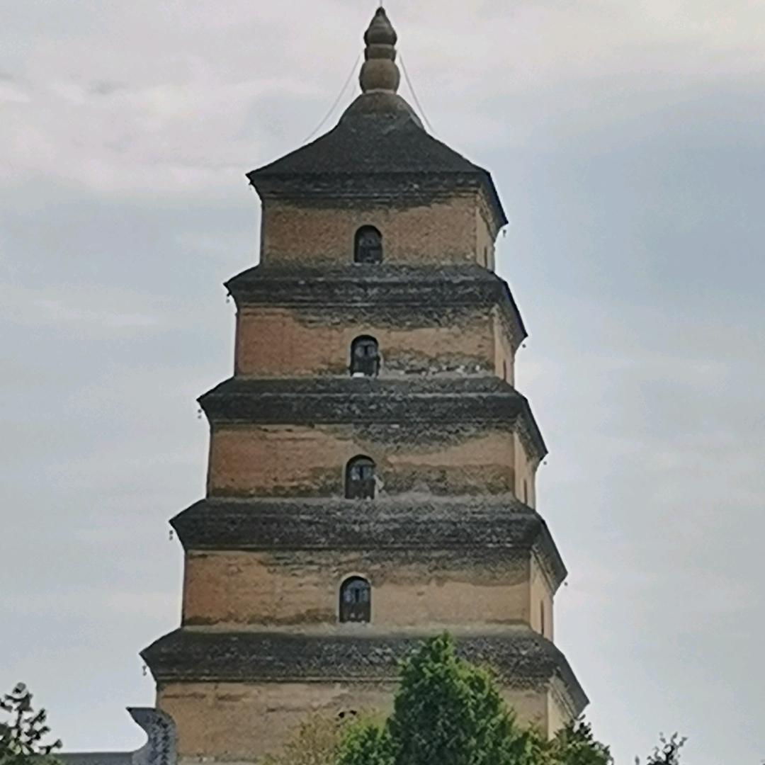 田花花