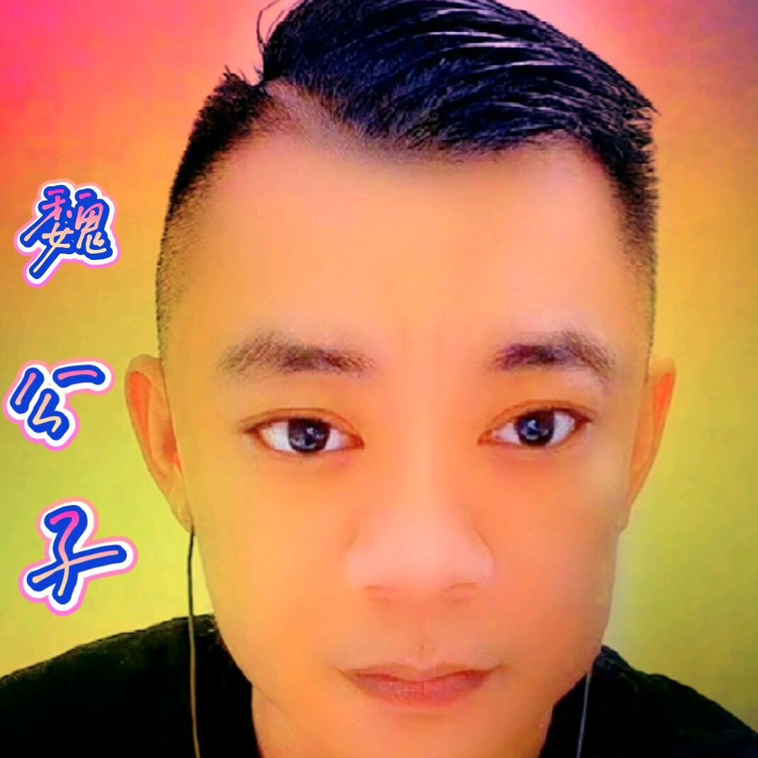 新疆魏公子