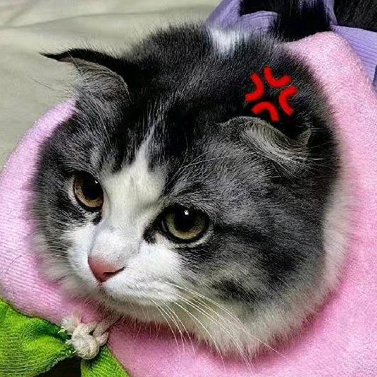 小喵
