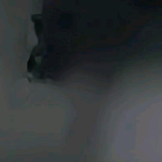 熊十五