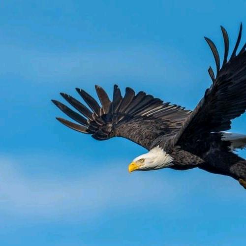 历经沧桑欲何求