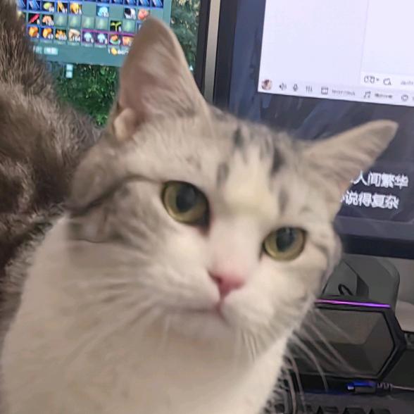 深忆
