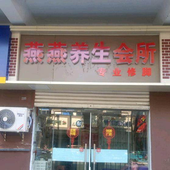 梦飞燕