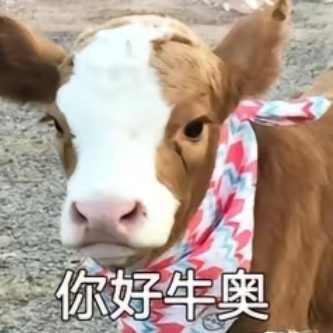 峡谷牛王